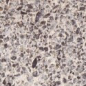 22223 geschliffen BZsw 2-5
