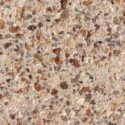 22318 gewaschen g 2-5